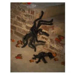 Boland Spinne - Ca. 50 X 65 Cm