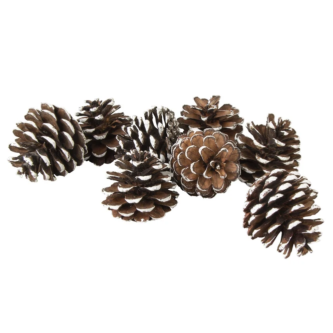 Tannenzapfen Mit Kunstschnee - Aus Holz - Ca. 6 Cm - 8 Stück – Bild 2