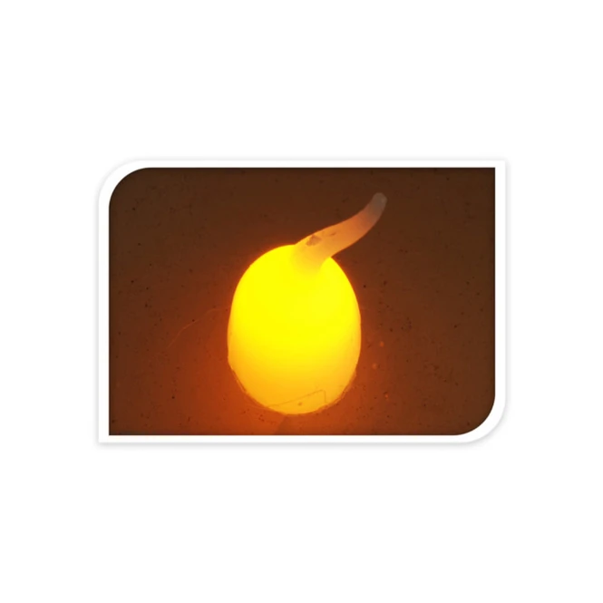 LED-Kerze - Aus Echtwachs - Ca. 7 X 9 Cm - Dunkelrot – Bild 2