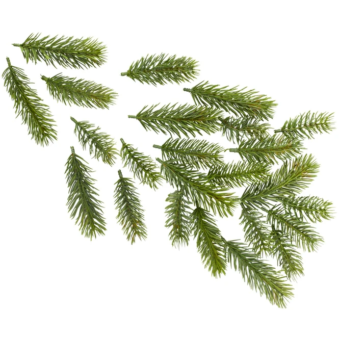 Tannenzweige - 24 Stück – Bild 2