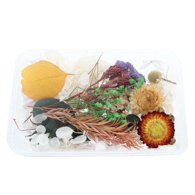 Streudeko - Trockenblumen - Orange