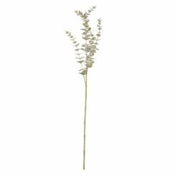 Eukalyptuszweig - Ca. 73 Cm