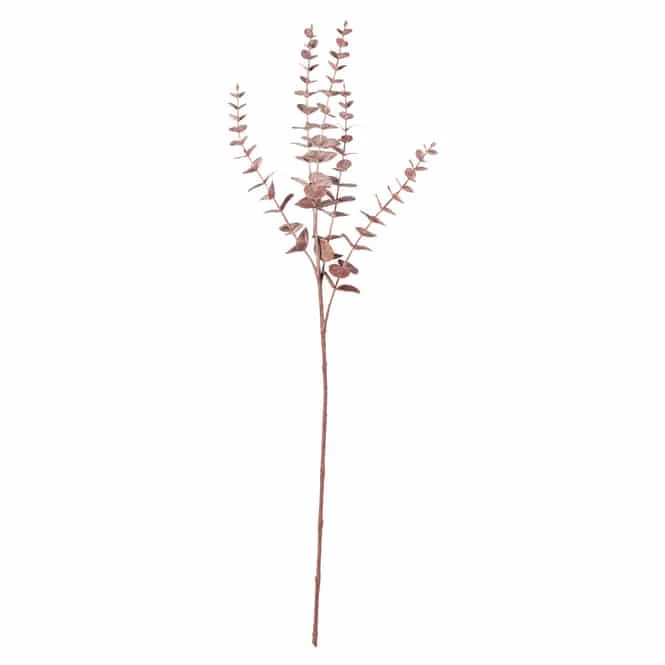 Eukalyptuszweig - Ca. 73 Cm - Weinrot