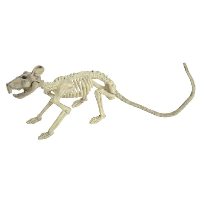 Deko-Skelett - Ratte - Ca. 32 Cm – Bild 3