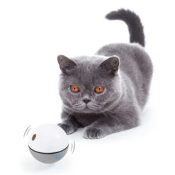 Katzenspielzeug - LED Katzenball - Grau