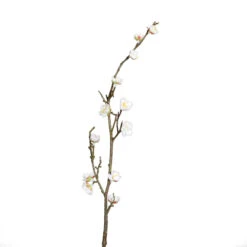 Kirschblütenzweig - Ca. 50 Cm - Weiß