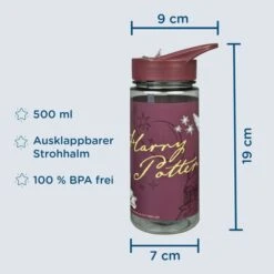 Undercover Harry Potter - Scooli - AERO Trinkflasche - 500 Ml