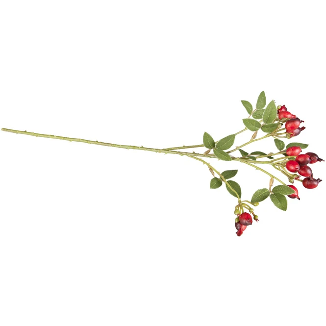 Hagebuttenzweig - Ca. 54 Cm - Verschiedene Farben – Bild 4