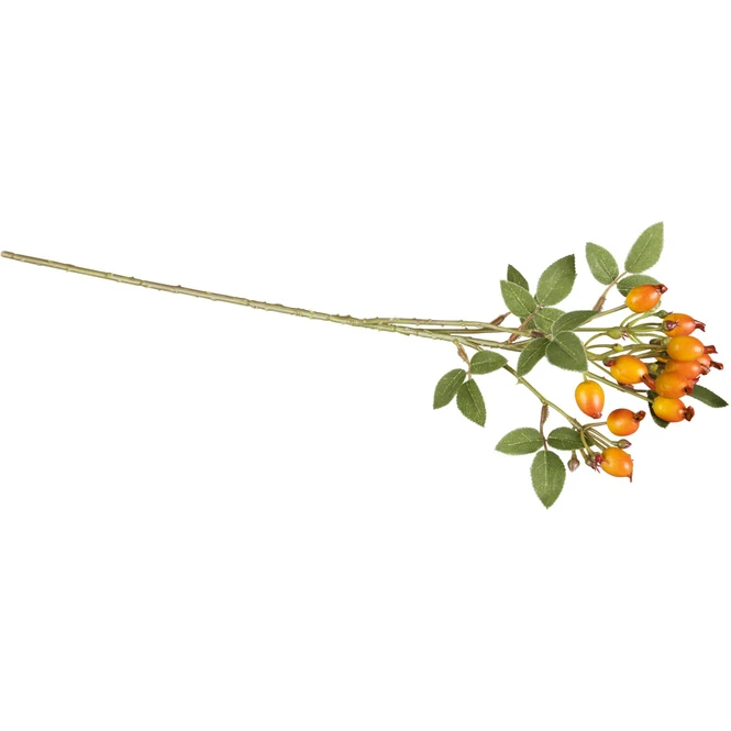 Hagebuttenzweig - Ca. 54 Cm - Verschiedene Farben – Bild 2